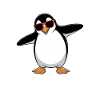Pingouin disant drôle Pingouins Cadeau