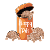 Shell-covered lucky pills!, Sulcata turtle