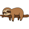 Sleeping sloth on branch
