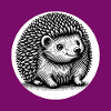 Cute little hedgehog