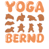 Cat Yoga Bernd