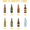 Beer Identification Guide