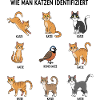 Cat Identification Guide