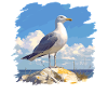 Seagulls Seagull