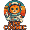 Stay Cosmic – Look da gatto nello spazio