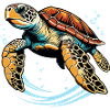 Sea turtle