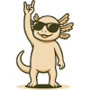 Rock’n’Lotl