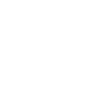 Anchor Seagull