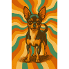 Groovy Chihuahua