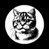 Dessin au trait de portrait de chat mignon