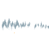 Serene Mountain Forest Scene