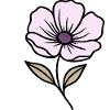 Flower, Floral Motif