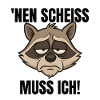 Funny raccoon cheeky saying