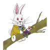 The White Rabbit enjoying flowers.
