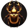 Scarab gold png