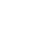 TRANSCRIPTEUR BLANC