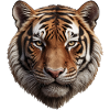 Majestic Tiger Face Illustration