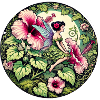 Hibiscus Fairy