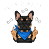 Cool French Bulldog