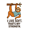 0010 slow strength