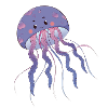 Jellyfish