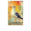 Seagulls Seagull