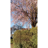 IMG 3893