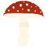Toadstool Fly Agaric Mushroom
