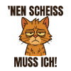 Lustige Katze mit frechem Spruch