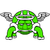 Turtle Angel Sky Wings Halo