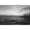 Wild Lake, Lake Resko Kołobrzeg Dźwirzyno