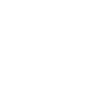 Team Plauen