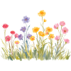 Blumenwiese