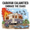 Embrace the Chaos