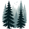 Misty Pines