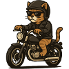 Coole Biker-Katze auf Motorrad