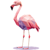 Flamingo Polygon - Tropical Summer Design