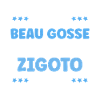 Zigoto