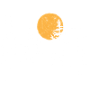Serene Forest Silhouette with Sunset