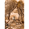 Roots and Resonance