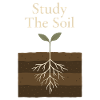Herbal Healing Roots Natural Wisdom