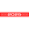 2025 Year Element