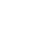 2025 Line