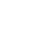 Lawyer