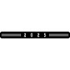 2025 year
