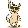 Rocker roo in sunglasses