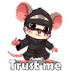 Little Ninja Mice Motif Print