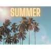 Palm Trees Summer