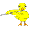 Flute Chick