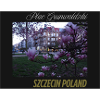 Plac gr Szczecin